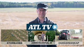 ATL TV Svinpeststängsel ammoniakhalm och stormhuggning [upl. by Rokach584]