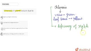 Chlorosis in plants occurs due to [upl. by Lehcyar]