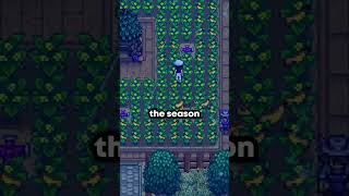 4 Brand New Crops Added Into 16 Update Of Stardew Valley stardew stardewvalley [upl. by Joshuah827]