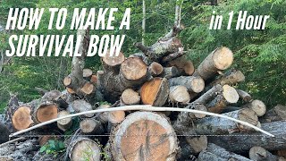 How to Make A Survival Bow  1 Hour Build [upl. by Yruok]