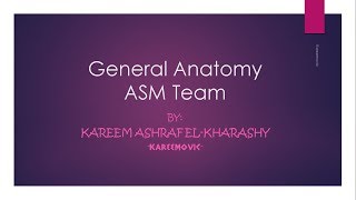 ASM General Anatomy  02 Skin amp fascia  By Kareemovic [upl. by Welcome]