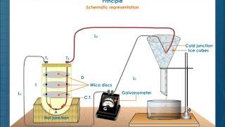 Thermoelectric Thermometer [upl. by Nhguavad]