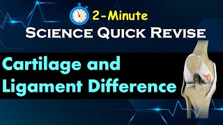 quotCartilage vs Ligament Understand the Difference in Just 2Minutesquot Learn Science Concepts Quickly [upl. by Ttirrej234]