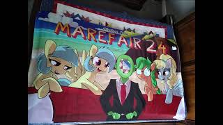 My Thoughts on Mare Fair [upl. by Edrei]