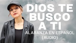 Dios Te Busco A Ti  SioVera God I Look To You  Bethel Music Audio [upl. by Tolmach]