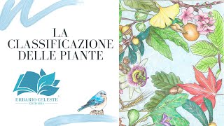 LA CLASSIFICAZIONE DELLE PIANTE [upl. by Loftus]