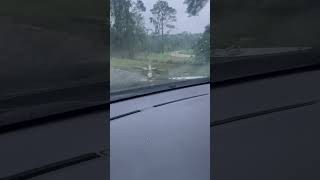 Tallahassee tornados on may 10 2024 [upl. by Raychel626]