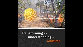 Leverhulme Wildfires turns five years old Oct 2019 Sept 2024 [upl. by Melan139]