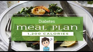 1200 kcal  Meal plan  Diabetes [upl. by Goodson466]