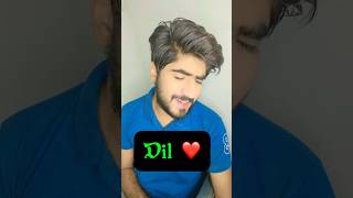 Dil Rakh diya ❤️ youtubeshorts viralsong maineteranaamdilrakhdiya sweetapplestudio 🎸 [upl. by Featherstone240]