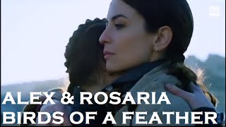 Alex amp Rosaria  Birds of a Feather [upl. by Tiffy29]