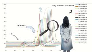 A Basic Intro To Understanding Chromatography Results Collected With The AKTA Chromatography System [upl. by Erdnassac247]