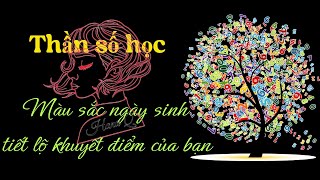 Thần số học Màu sắc ngày sinh của bạn là gì [upl. by Analaj]