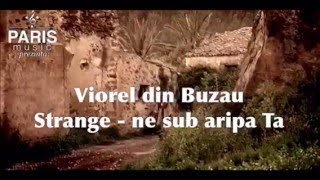 Viorel din Buzau  Strangene sub aripa ta 2016 [upl. by Slen]