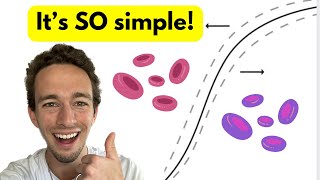 OxygenHemoglobin Dissociation Curve  EASY Explanation with visuals [upl. by Yatnohs]