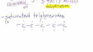 Bio B4  Lipid Macromolecules [upl. by Anoerb21]