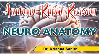 Neuroanatomy Rapid Revision  Dr Krishna Sahith [upl. by Goeselt]