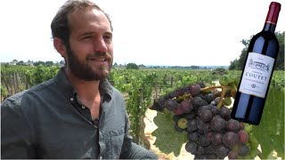 Vignes vin et chimie au Château Coutet SaintÉmilion [upl. by Mecke403]