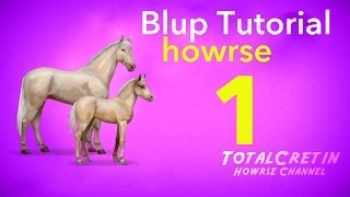 Howrse  Blup Tutorial Part 1 [upl. by Buff]