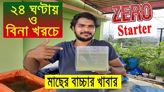 ১ দিনের মধ্যে কোন কিছু ছাড়াই বিনা খরচে মাছের বাচ্চার খাবার। Fish baby food without starter [upl. by Airym795]