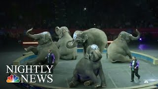 The End Of Ringling Bros And Barnum amp Bailey Circus  NBC Nightly News [upl. by Eimilb]