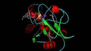 Cathepsin K [upl. by Reinwald382]