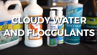 Cloudy Water and Flocculants [upl. by Katya864]