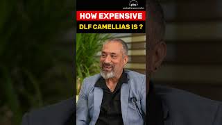 How Expensive dlf camellias is  shorts dlf [upl. by Enael]