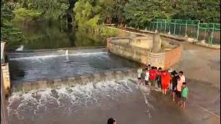 Shantivana Check Dam Overflow [upl. by Peedus495]