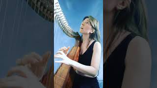 quotCloudbustingquot Kate Bush Harp Cover [upl. by Player106]