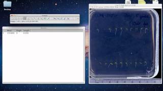 ImageJ Tutorial  Measuring Lengths and Angles [upl. by Nuahsor693]