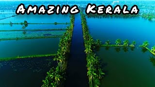 Amazing Kerala status😍  kerala drone view whatsapp status  life of singles [upl. by Enihpled]