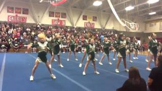 Nelson Elementary School Cheer [upl. by Blakely]