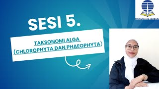 Sesi 5 Taksonomi Alga Chlorophyta dan Phaeophyta [upl. by Eneryc]