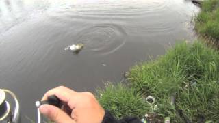 Montreal Bass Fishing  Brofessional Fishing Episode 2 [upl. by Kalk]