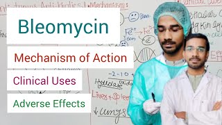 Bleomycin Anticancer Drugs [upl. by Yeneffit718]