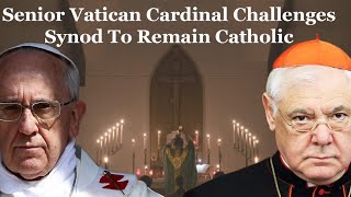 Senior Vatican Cardinal Challenges Synod To Remain Catholic [upl. by Hainahpez]