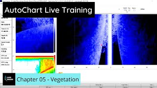 ACLChapter 05  Vegetation [upl. by Etnahc]