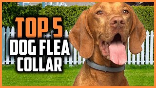 ✅Top 5 Best Flea Collars for Dogs of 2024 [upl. by Arualana]