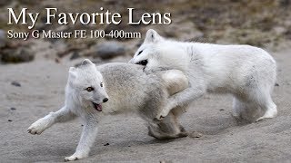 My Favorite Lens – The Sony G Master FE 100400mm [upl. by Euqinomahs]