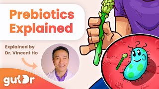 What Are Prebiotics  GutDr MiniExplainer [upl. by Idoux]