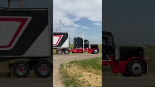 SICK Peterbilt 379 with Conestoga TRUCK SPOTTING truckspotting shorts peterbilt379 [upl. by Auhsuoj]