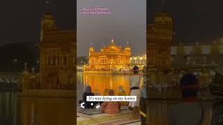 🙏Tera Hi Darbar Sacha❤️DarbarsahibWaheguruSikhSongStatuswaheguru sikhmusic Akj Guru Sikh [upl. by Refinaj]