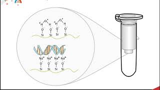 CH450 Chapter 511 DNA amp RNA Isolation and Purification [upl. by Aymer]