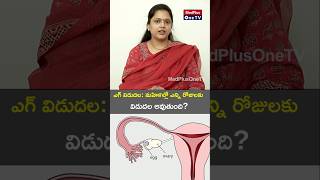 Egg Release Timing and Irregularities l Dr V Hemalatha Reddy shorts MedPlusONETV [upl. by Mikel]