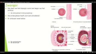 Klas 4 VWO Thema 2 Voortplanting amp seksualiteit basisstof 4 Zwanger deel 1 [upl. by Sherer215]