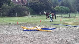 17092017  Geführter Trail in Tangstedt Paraequestrian  Handicap [upl. by Saretta429]