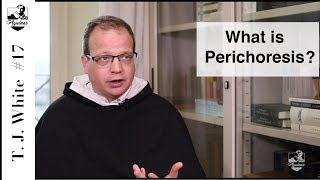 Thomas Joseph White 17 What is perichoresis I 42 5 [upl. by Westley]