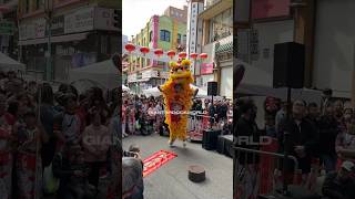 AMAZING ACROBATIC LION DANCE [upl. by Arit]