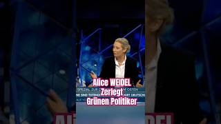 Grünen Politiker wird Zerlegt afd diegrünen politik aliceweidel deutschland [upl. by Nabetse]